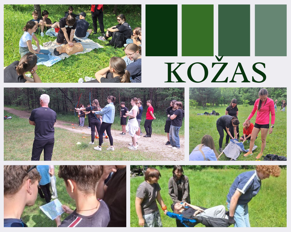 kozas